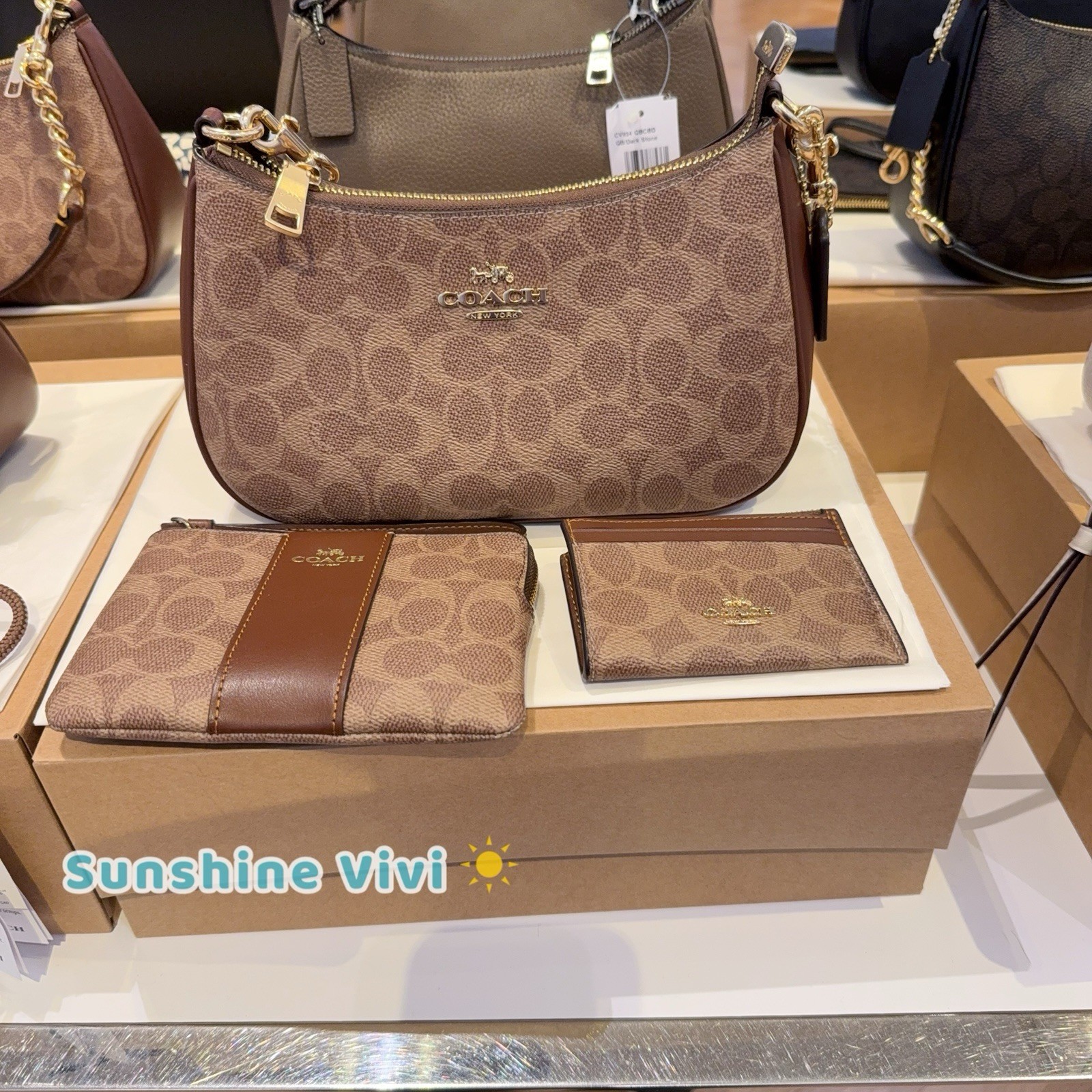 NWT Bundle Coach Teri Shoulder Bag CV933 & CW854 Wristlet & CW870 ID Case BROWN