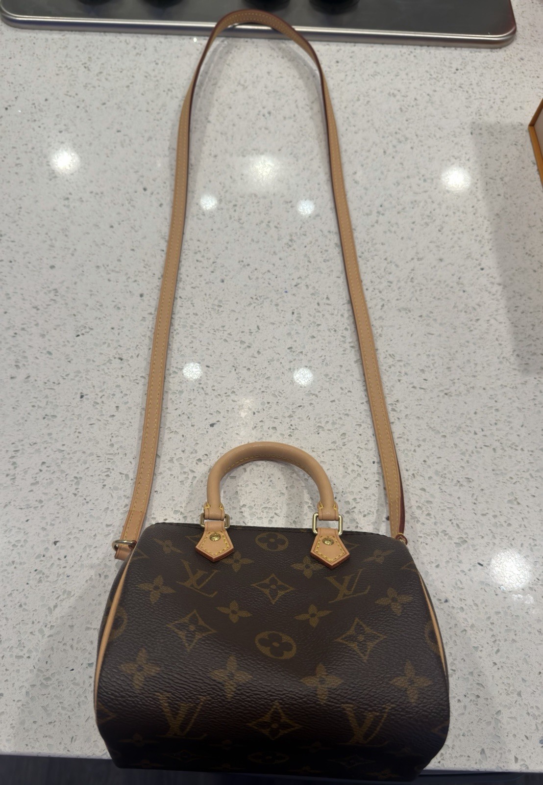 Louis Vuitton Monogram Nano Speedy 1.0 Fixed Strap Pristine Condition