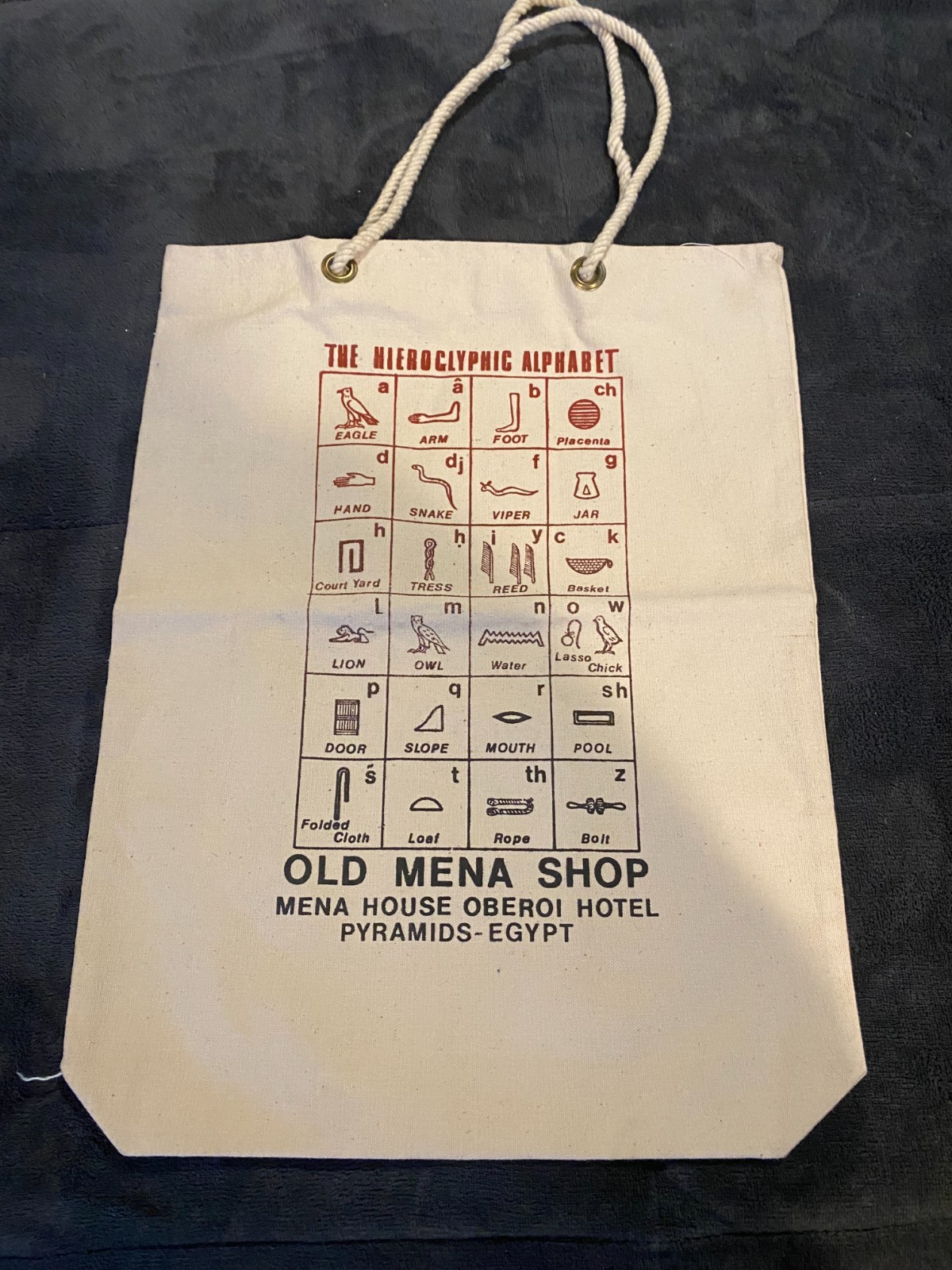 Egypt Tote Rope Handle Canvas Purse Grocery Bag Hieroglyphics