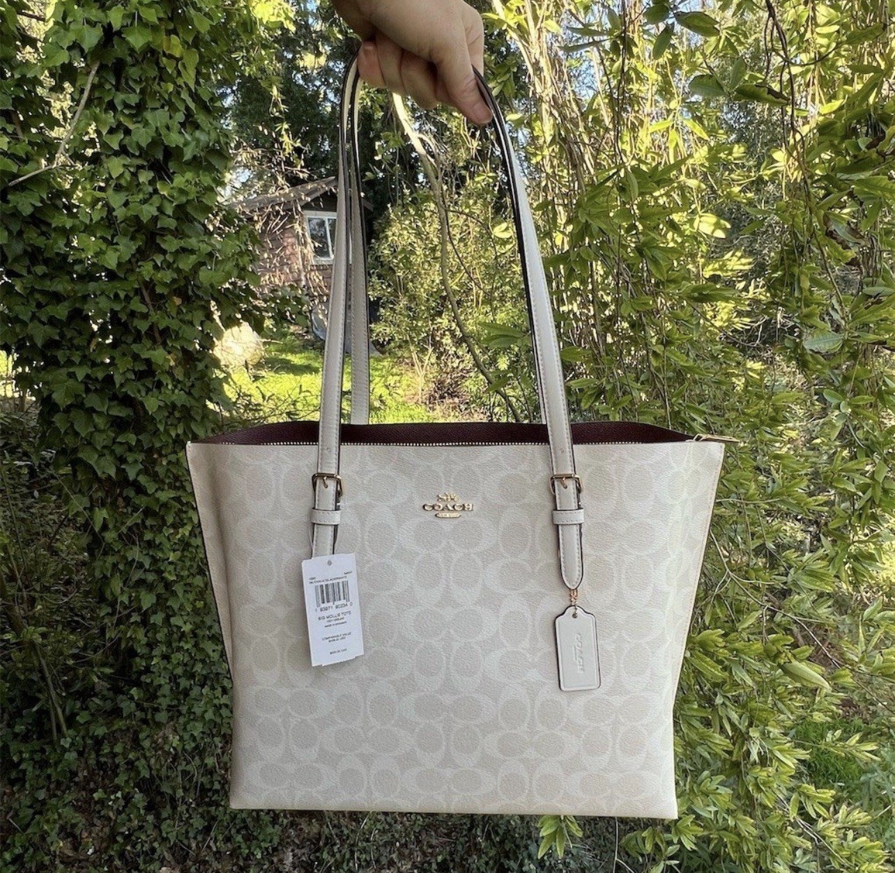 COACH Shoulder Bag Large Mollie Tote Chalk/Glacierwhite w Gold Hardware 1665 NWT