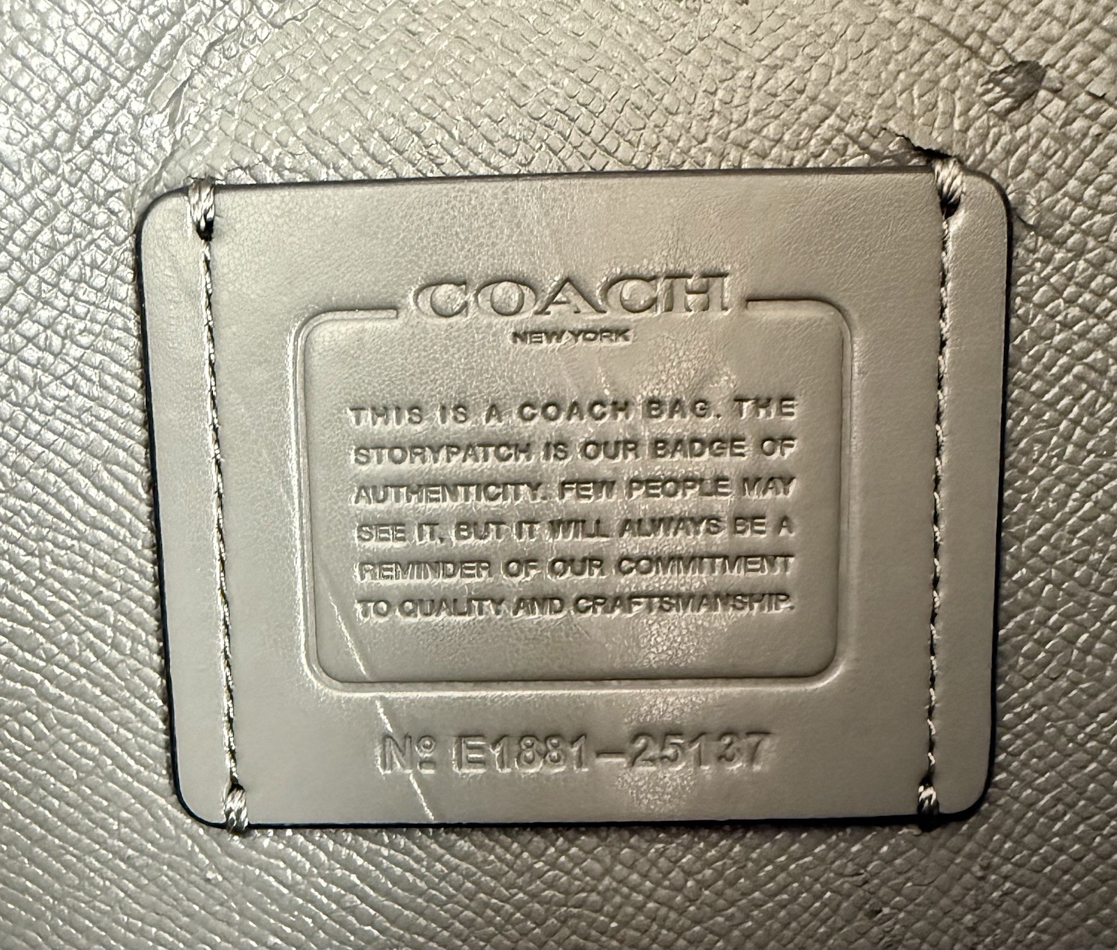 Coach C4084 Mollie Tote 25 Women’s Leather Bag Light Blue