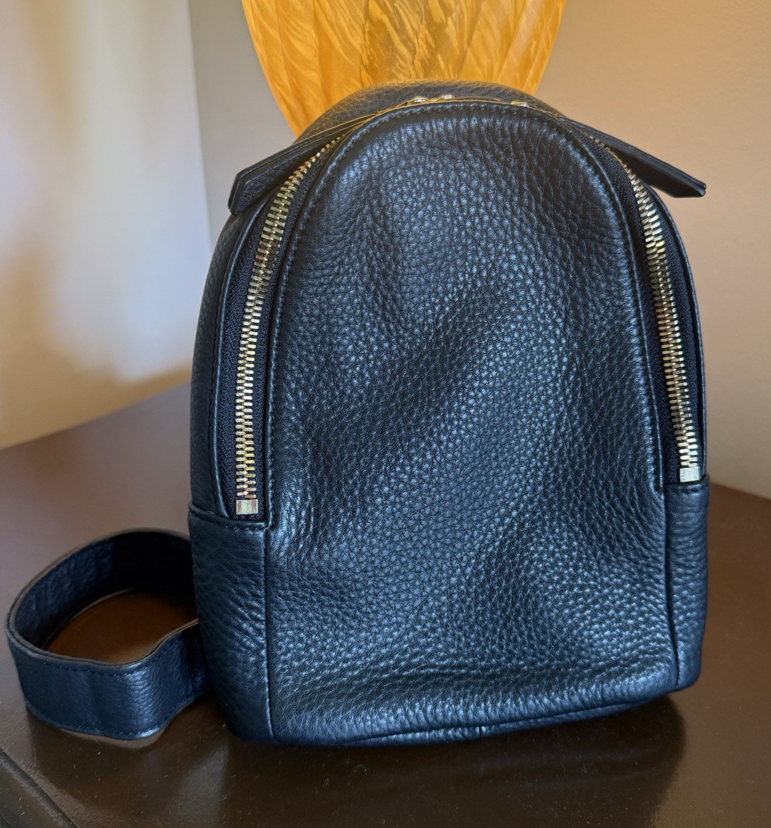 Quince Black Pebbled Top Grain Leather Crossbody Bag