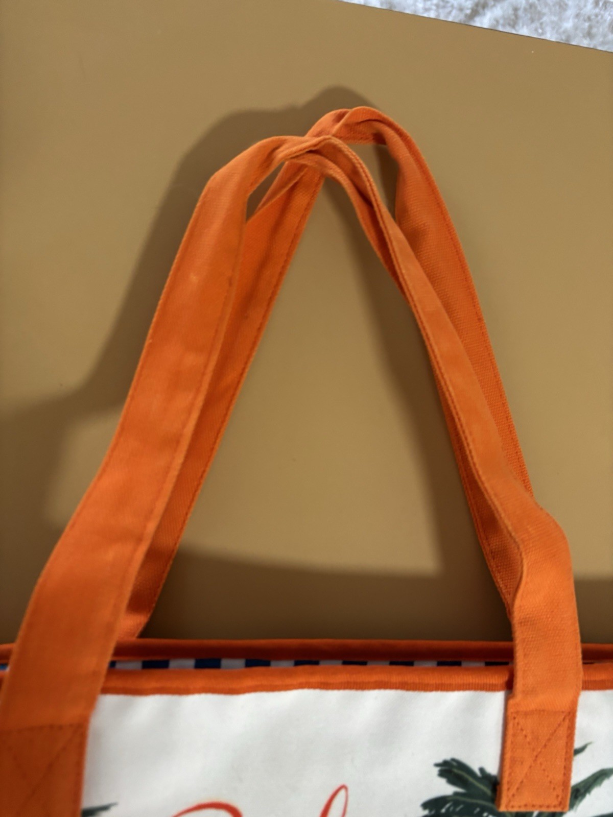 Bali Art Print Lined Beach Tote