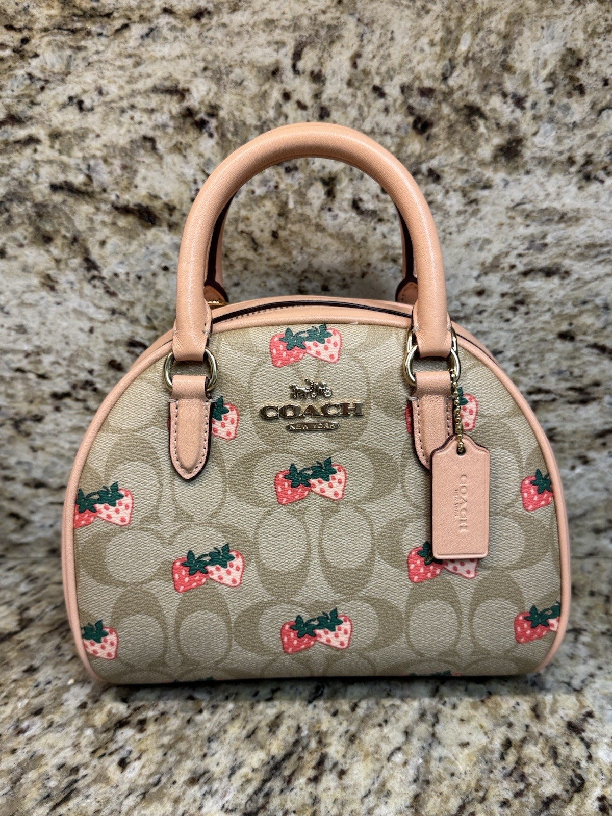 Coach Sydney Satchel In Signature Canvas With Strawberry Print CB596