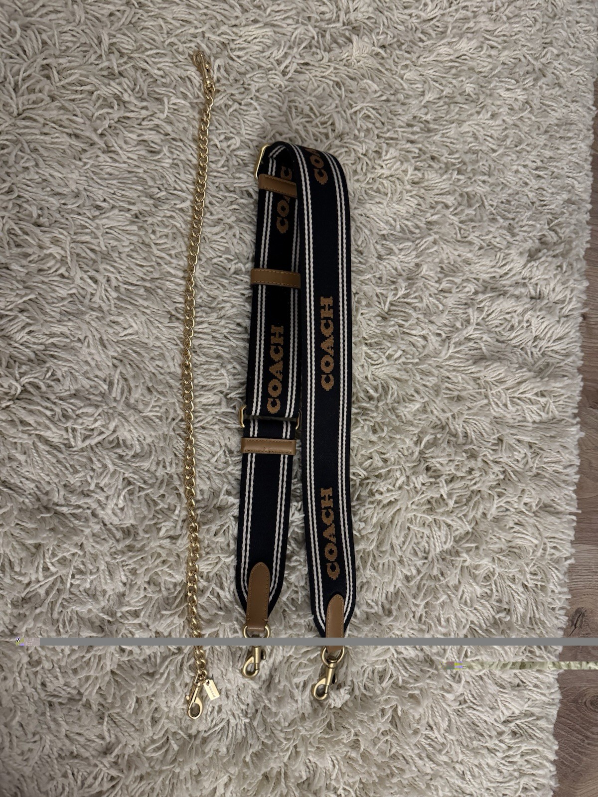 Coach Guitar And Chain Strap