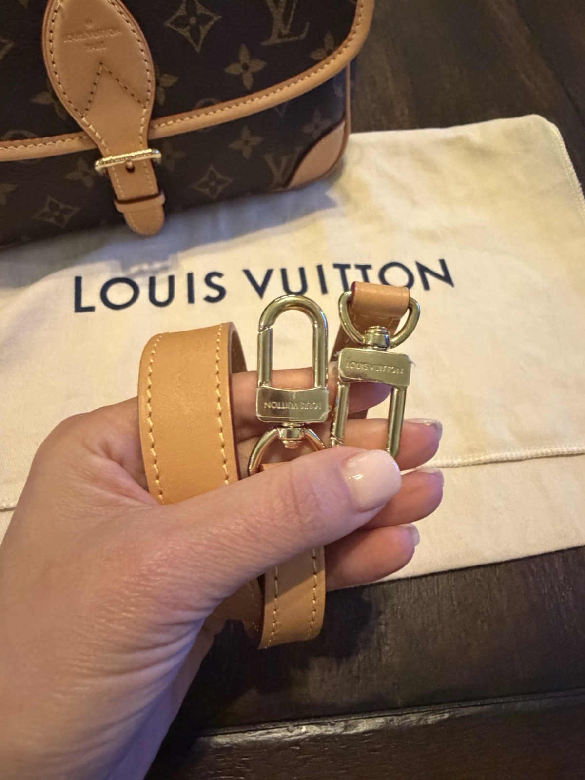 Louis Vuitton Diane Mono Shoulder/Crossbody Bag Brown Gold HW