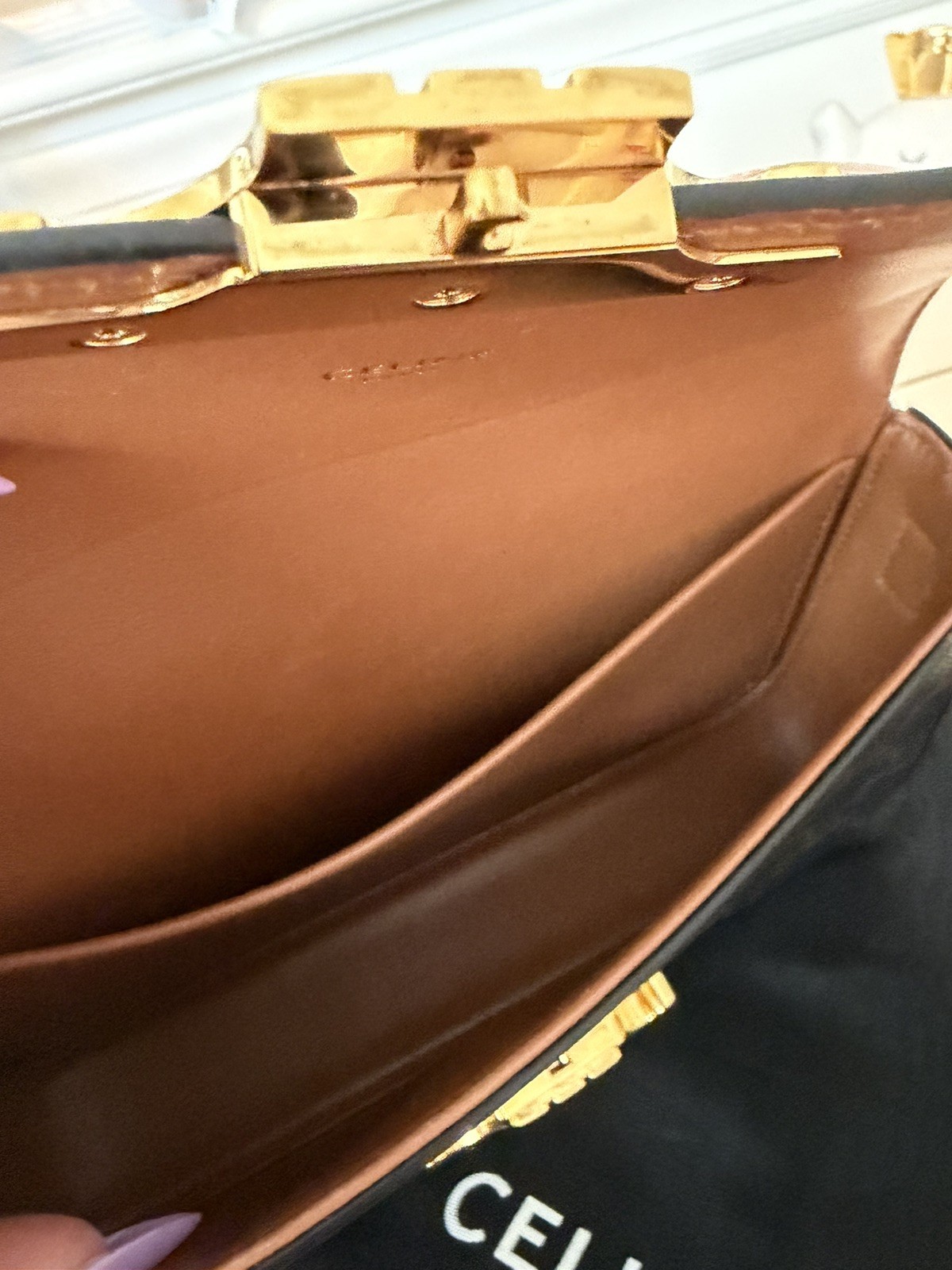 Celine Triomphe Canvas Shoulder Bag Black Brown Gold Women Classic Fashion