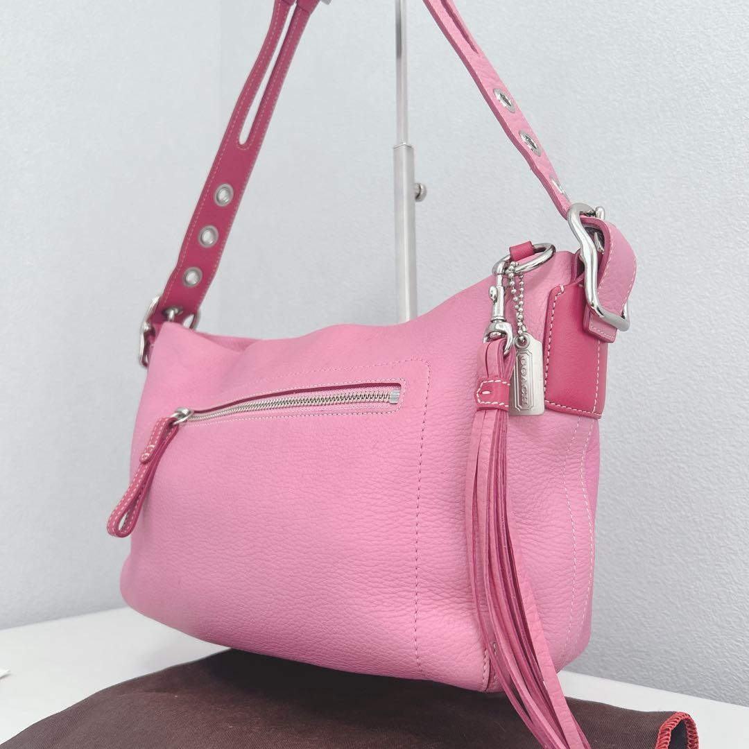 Rare Color Excellent Condition COACH One Shoulder Bag Shoulder Carry Leather Pin