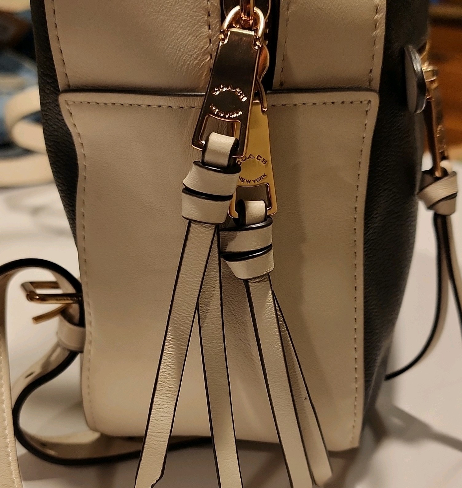 Varsity Coach Backpack Purse (RARE)