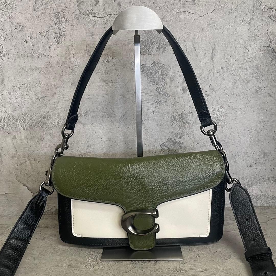 Coach Tabby Leather Shoulder Bag, 15cm x 26cm, Multi-color Khaki