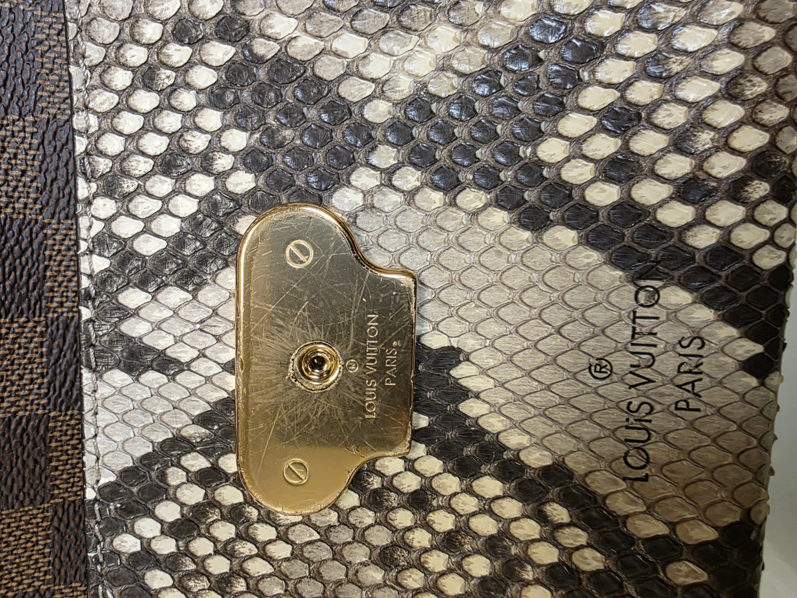 RARE Louis Vuitton Vavin PM Damier Ebene Exotic Python Noir