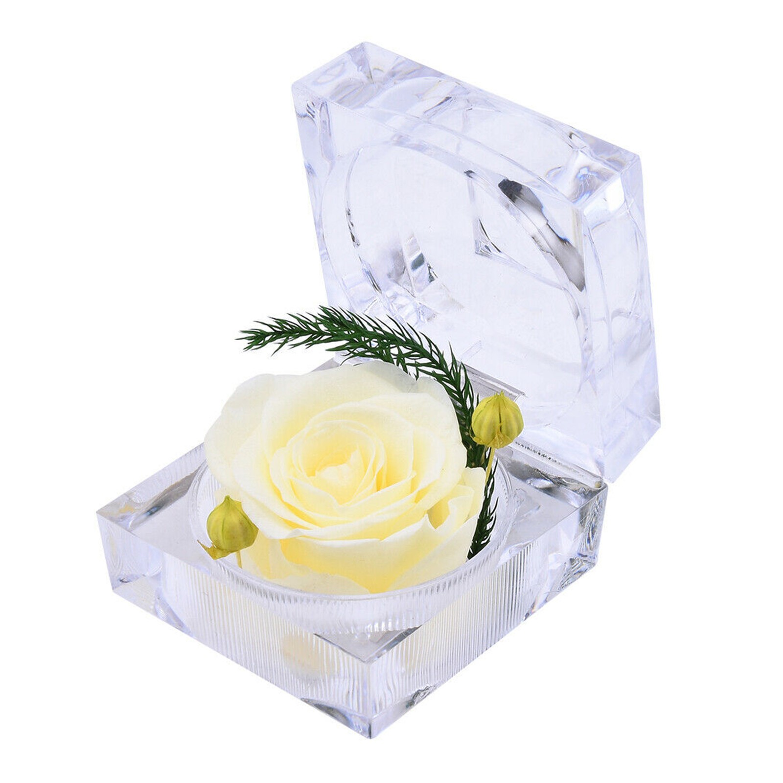 Eternal Preserved Real Rose Flower Acrylic Crystal Box Valentine’s Day Gift US