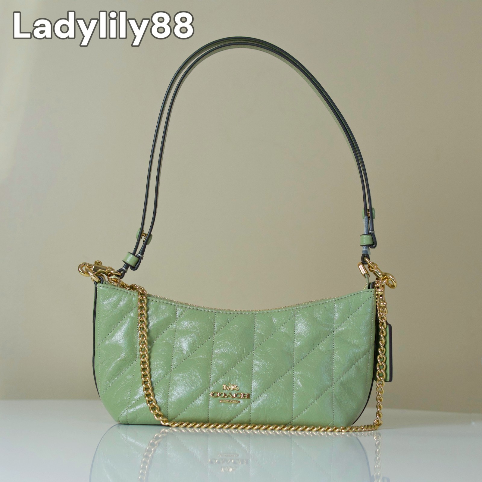NWT Coach CDZ88 Caitlin Shoulder Bag With Quilting Glazed leather Pistachio $250