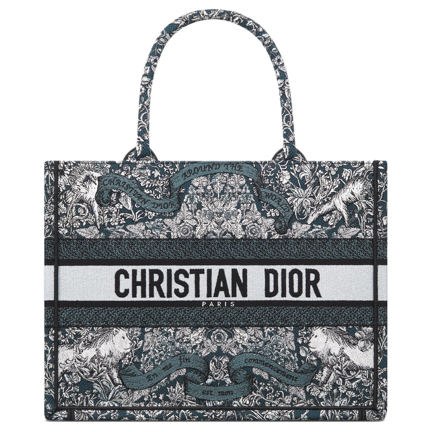 DIOR Handbags White Blue Women 14.2 x 6.5 x 10.8 in M1296ZEDO-M928