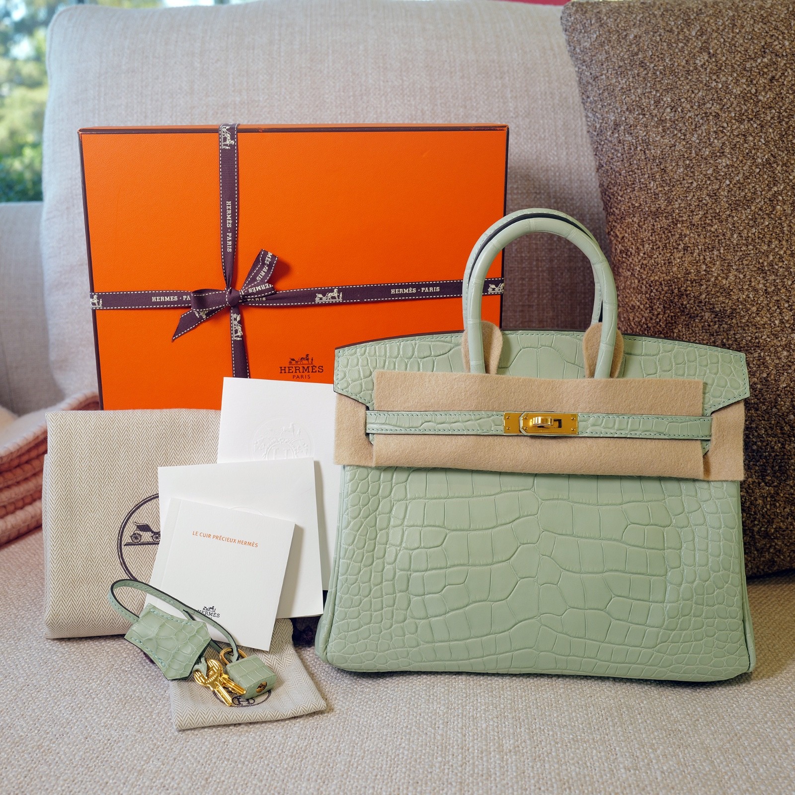 NEW EXOTIC HERMES BIRKIN 25 CROCODILE CROC HANDBAG BAG VERT D’EAU MATT ALLIGATOR