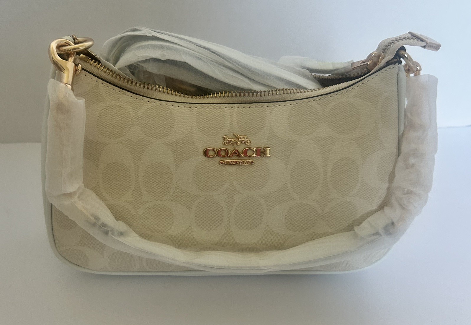 COACH Teri Shoulder Bag In Signature Canvas CA548 Glacier White NWT