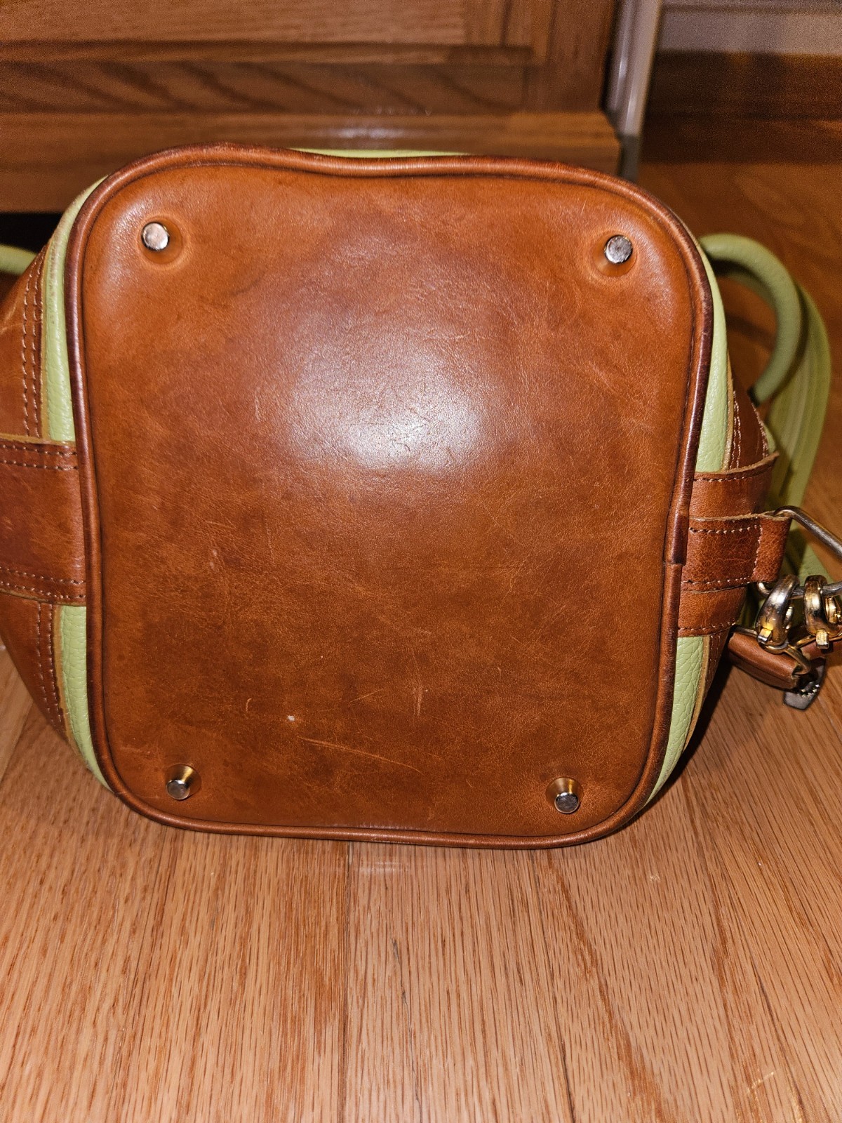 Valentina Italian leather convertible sling bag in a mint green And Brown Trim