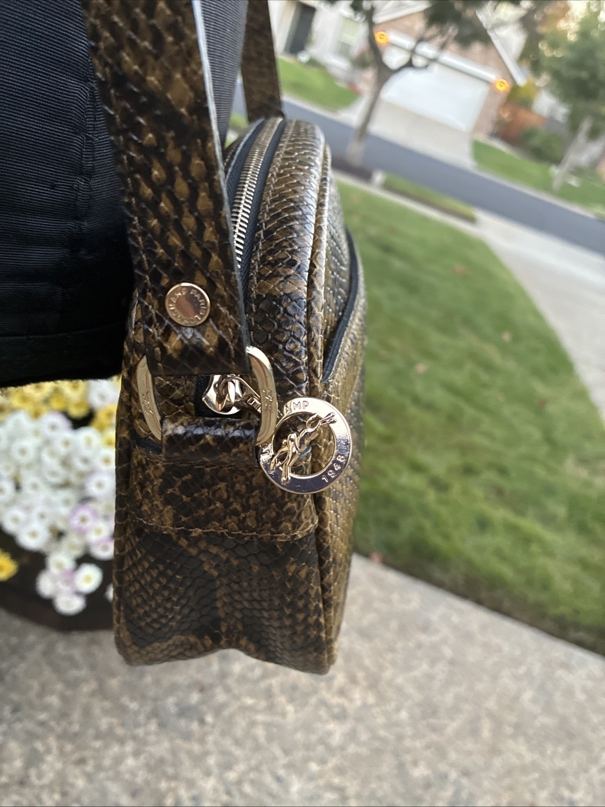 Longchamp Python Snake Print Leather Shoulder Bag Purse Crossbody Browns