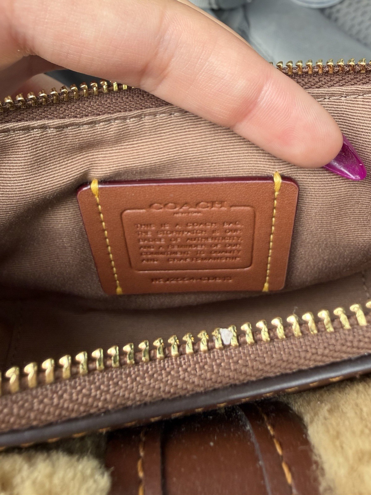 Coach Ashton Mini Shoulder Bag