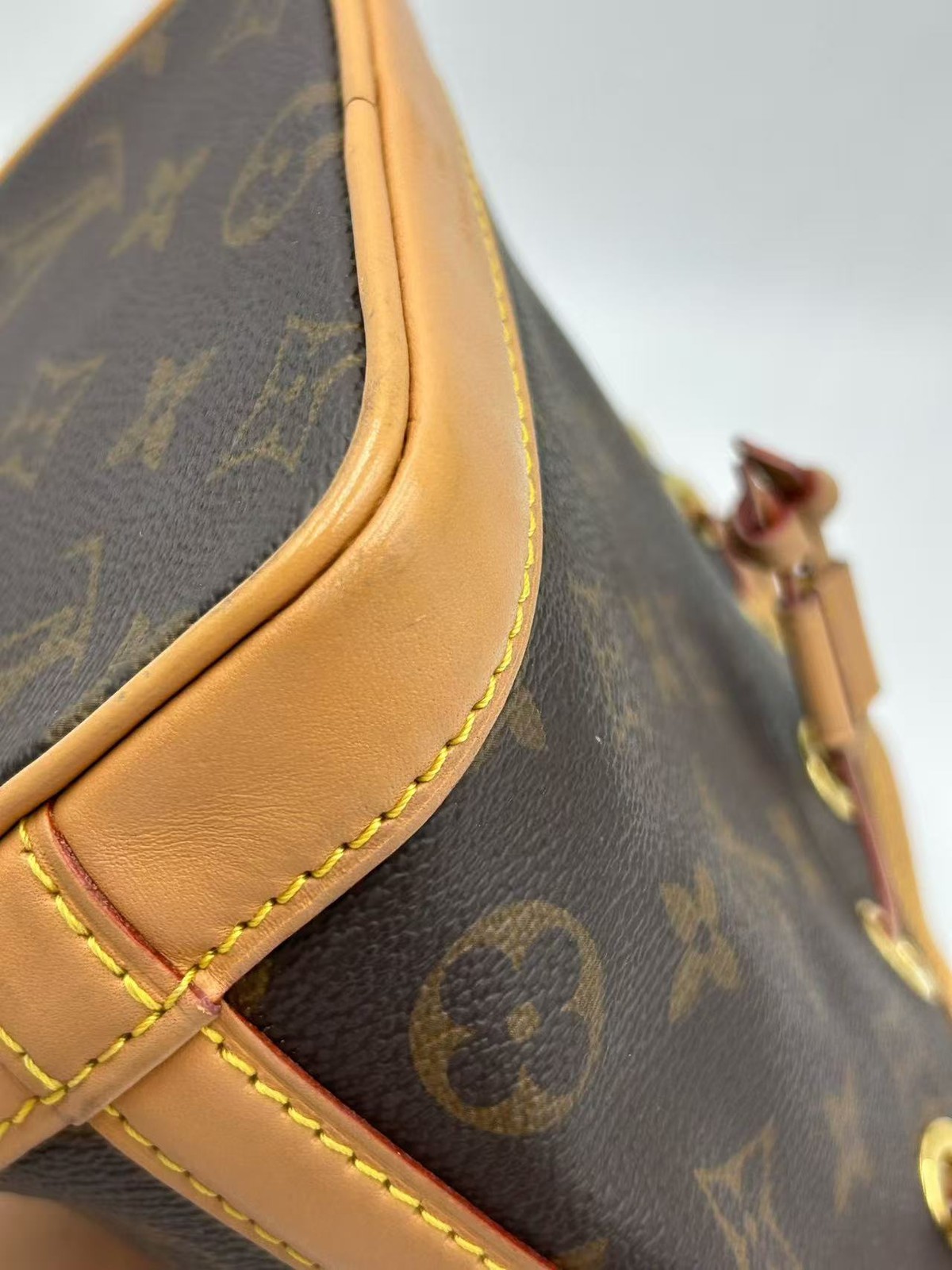 Authentic Louis Vuitton Nano Noé Monogram Bucket Bag France