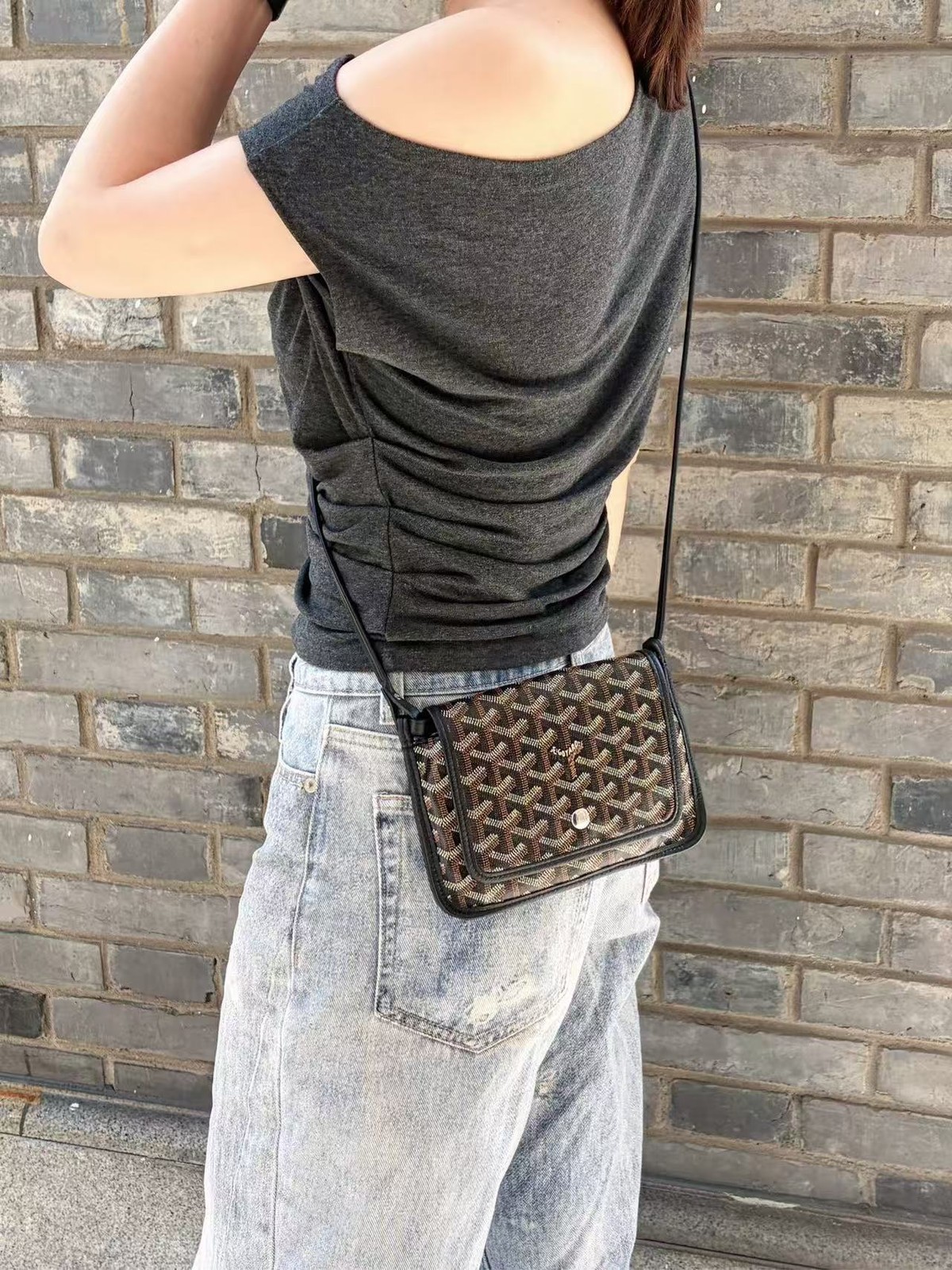 Goyard Plumet Wallet On Chain Crossbody Bag Black Goyardine Canvas LeatherSilver