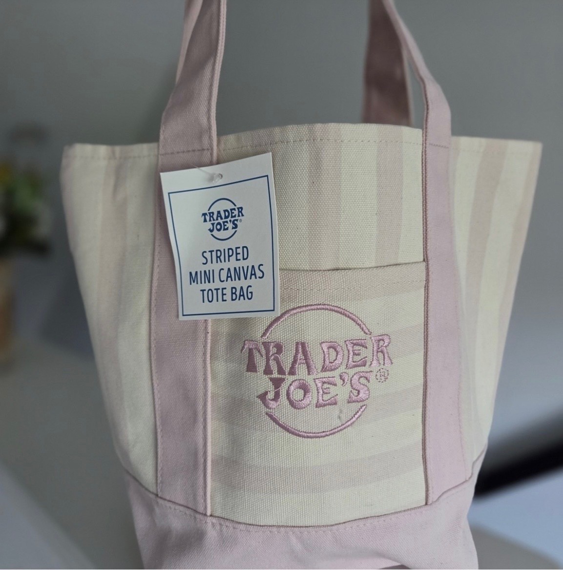 Trader Joe’s Summer striped Mini Tote 1 Pink Tote Only