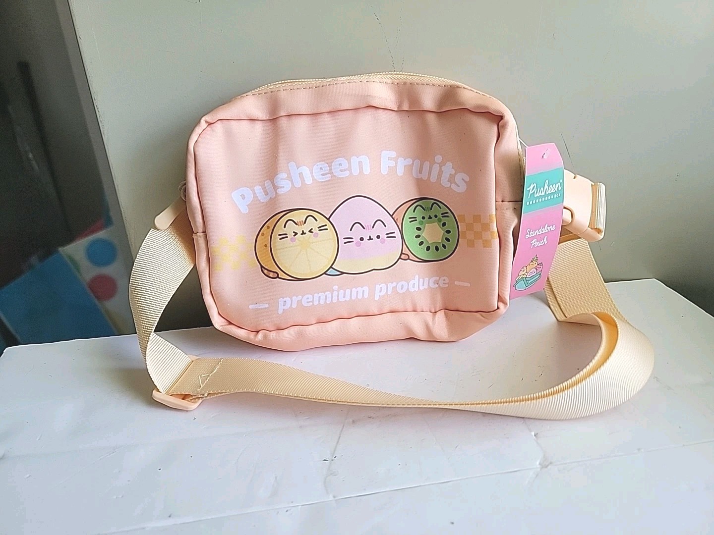 Pusheen Box Fruits Fanny Pack Zipper Standalone Pouch Bag Summer 2024 Orange