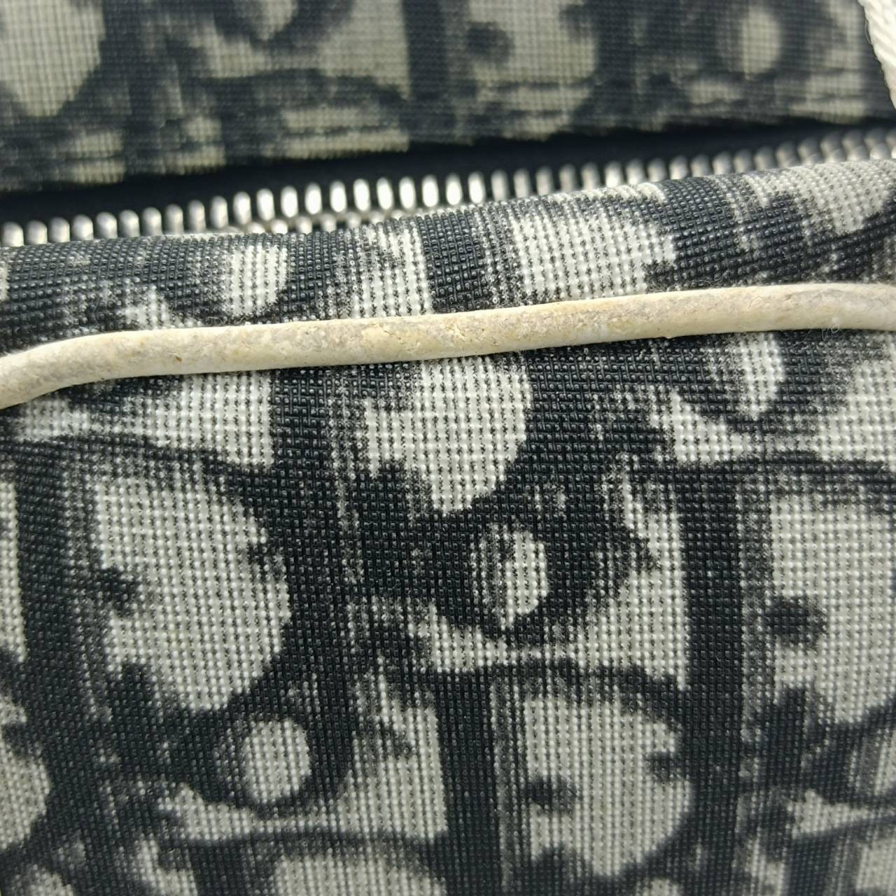 Christian Dior Bag Backpack Trotter monogram No.2 BOD0096