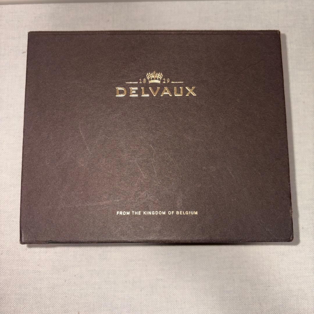 DELVAUX Brillon Delvaux Charm Bag-type Chain New unused