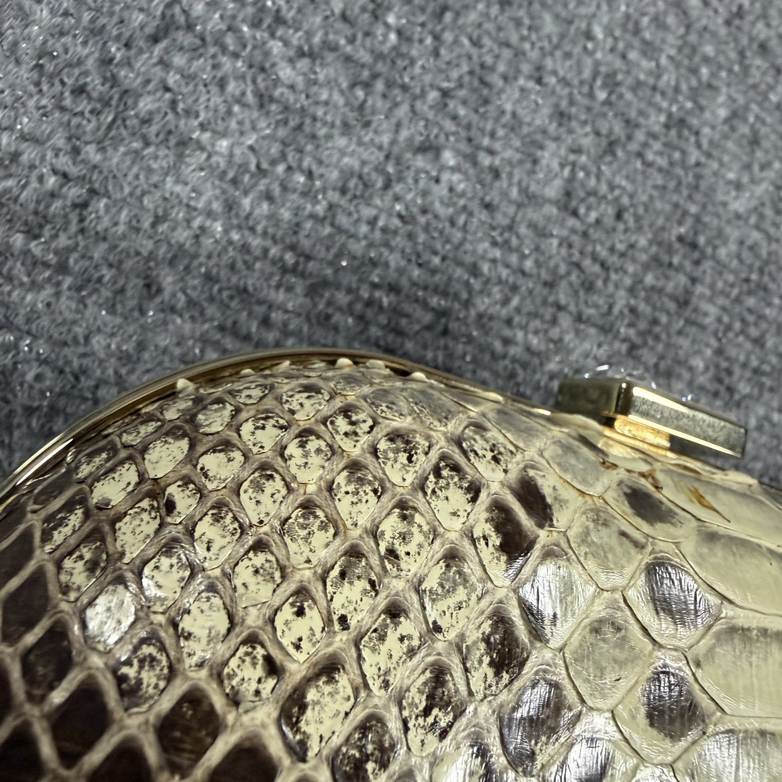 Cape Cobra Genuine Python Clasp Bag Metal Chain Strap Small Read