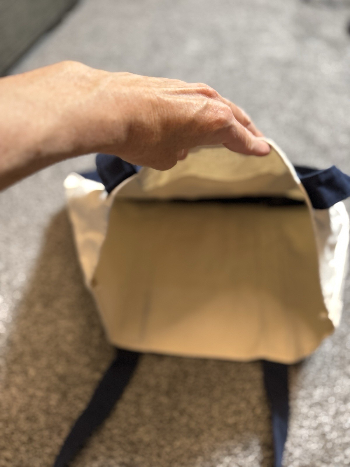 Trader Joe’s Bag Canvas Reusable Heavy Cotton Basic Style Shopping Navy Large