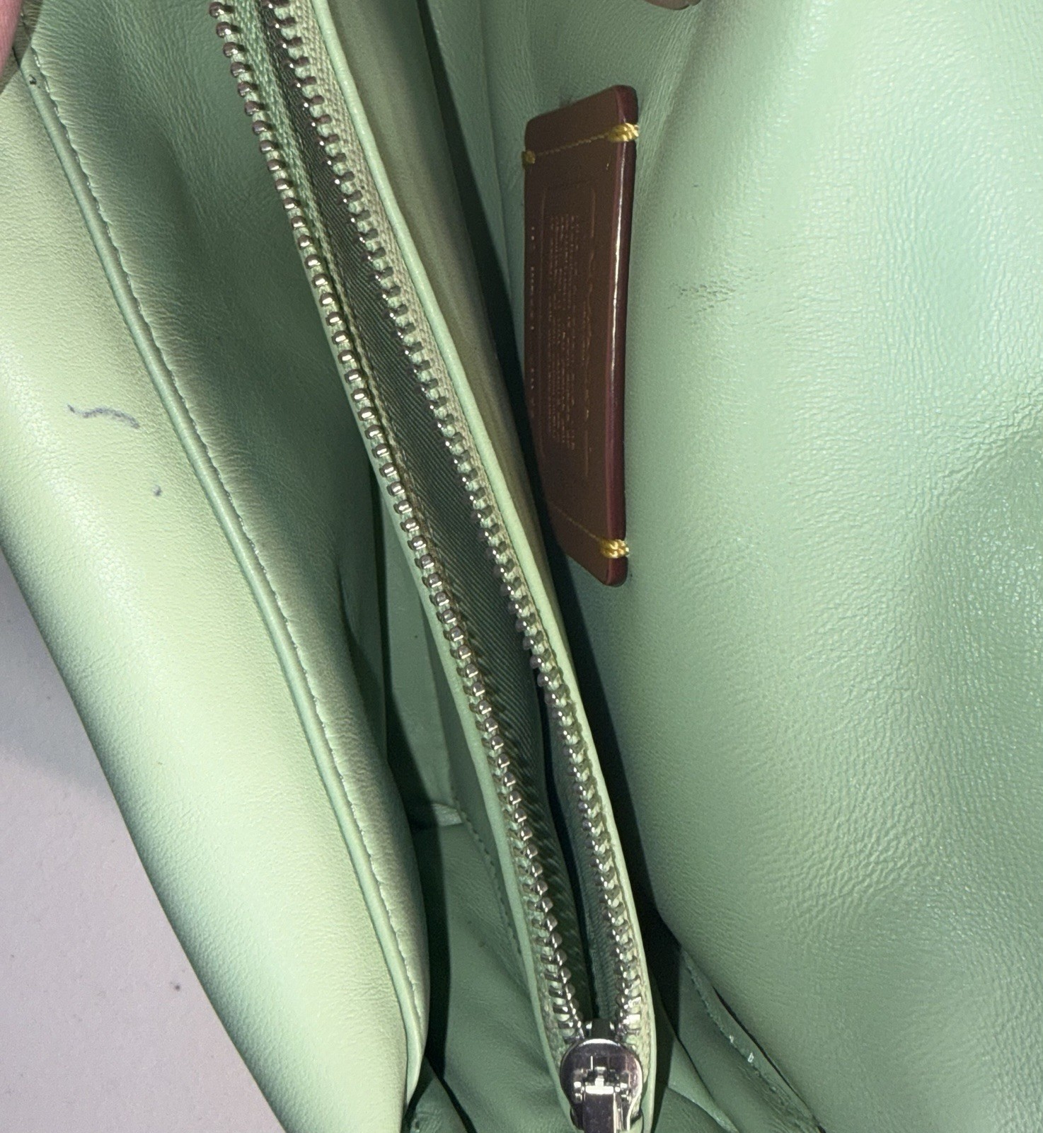 Coach CR710 Soft/Pillow Leather Shoulder Bag – Mint Green