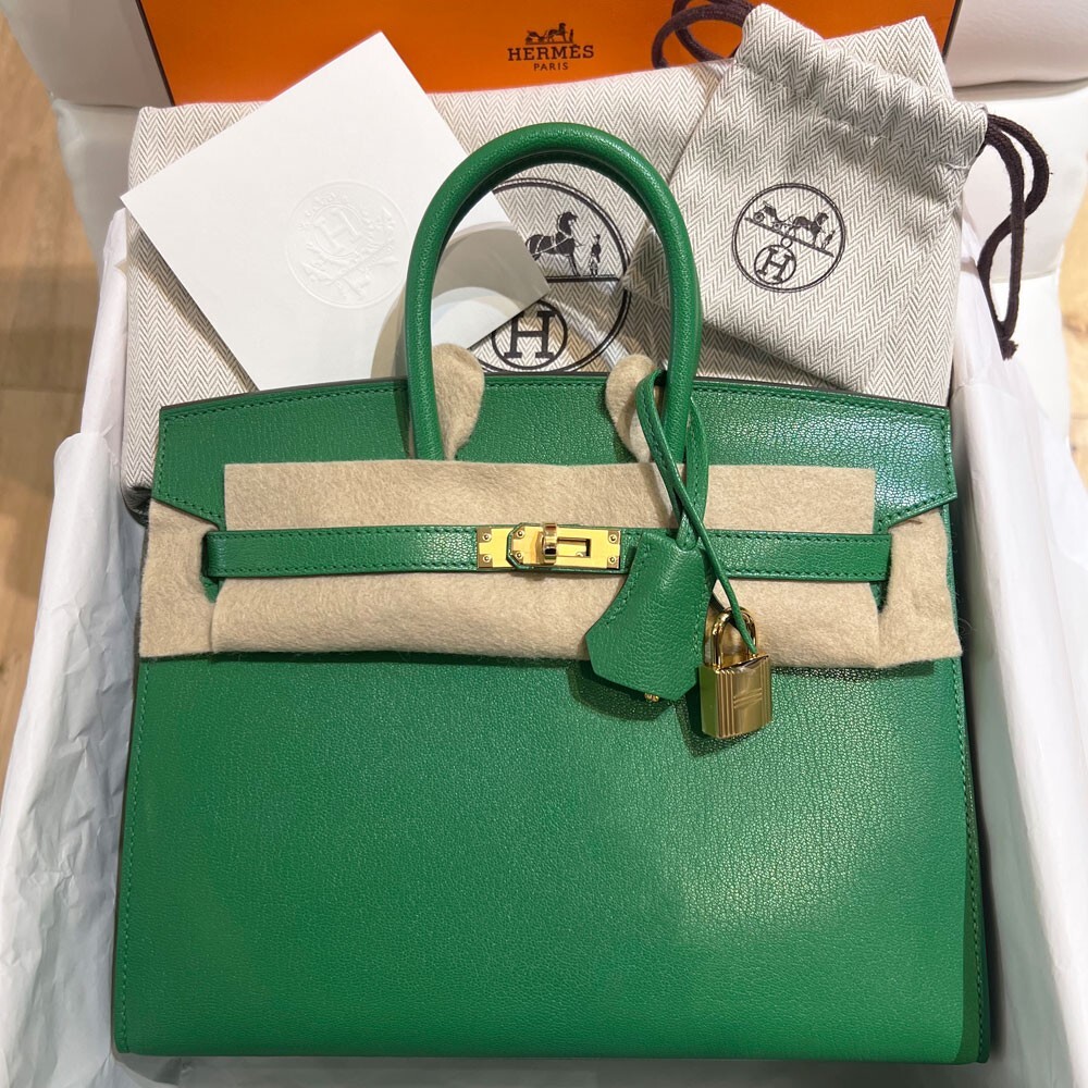 Hermes Birkin 25 Sellier Bambou Chevre Chamkila Handbag GHW, Unworn 2024
