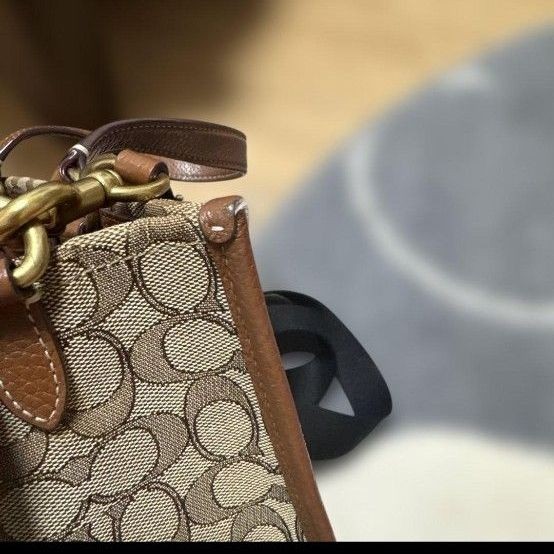 Non Limited COACH Collaboration Mickey Disney Bag 30a