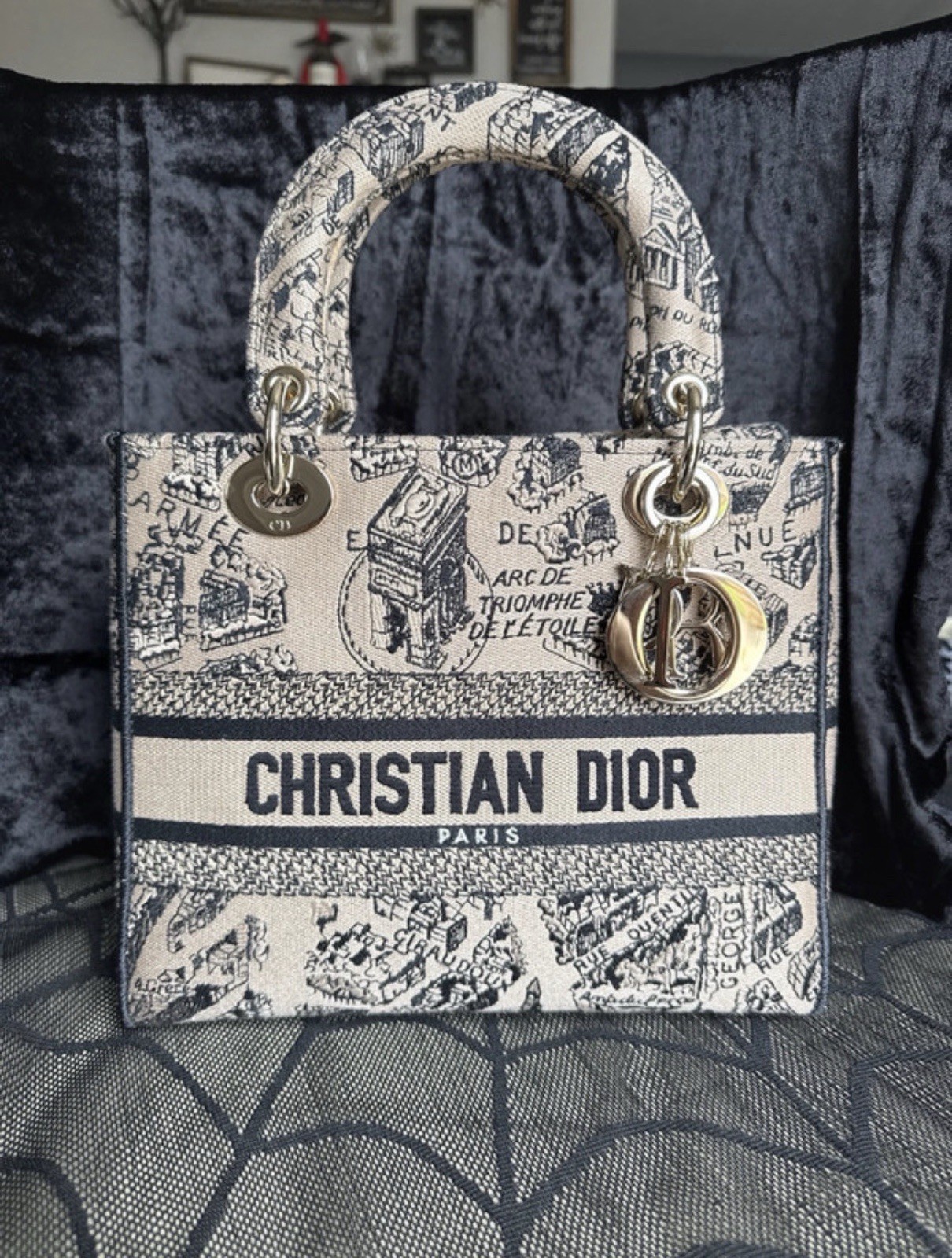 Dior Lady D-Lite Medium Paris Map Embroidery Canvas Tote Bag Strap
