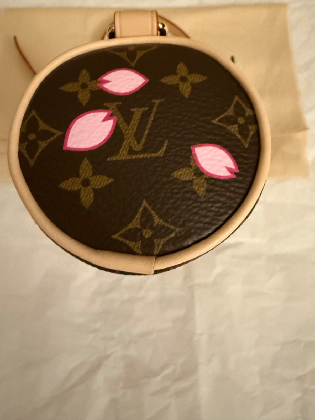 Louis Vuitton Murakami Cherry Blossom Mini Papillon Pouch Pochette LV x TM 2025
