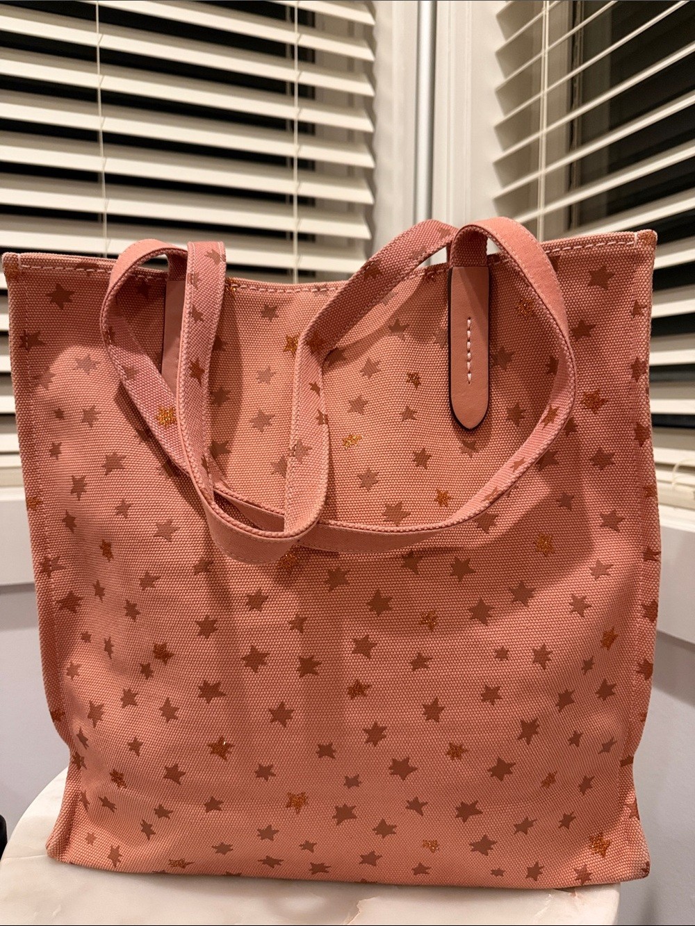 NWOT Coach Uni Tote [limited edition]
