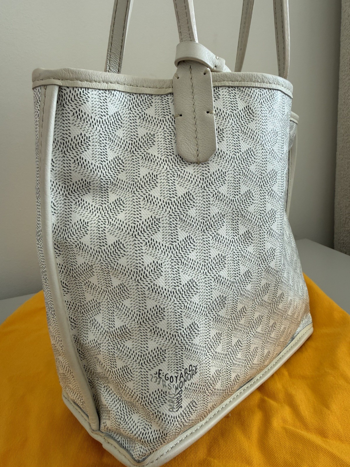 rare Goyard mini Anju tote 2025