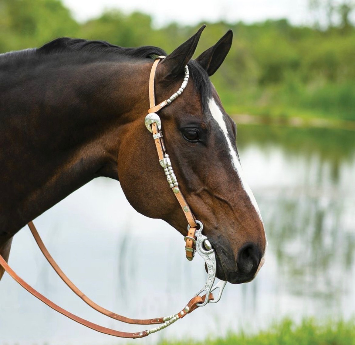 Western style equestrain handbag