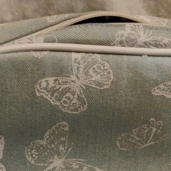 Betsey Johnson Butterfly Crossbody With Matchj G Changepurse- Denim And White