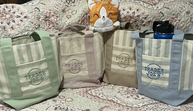 Trader Joe’s Mini Pastel Striped Canvas Tote Bag Collection 1 Set of 4 NWT 2026
