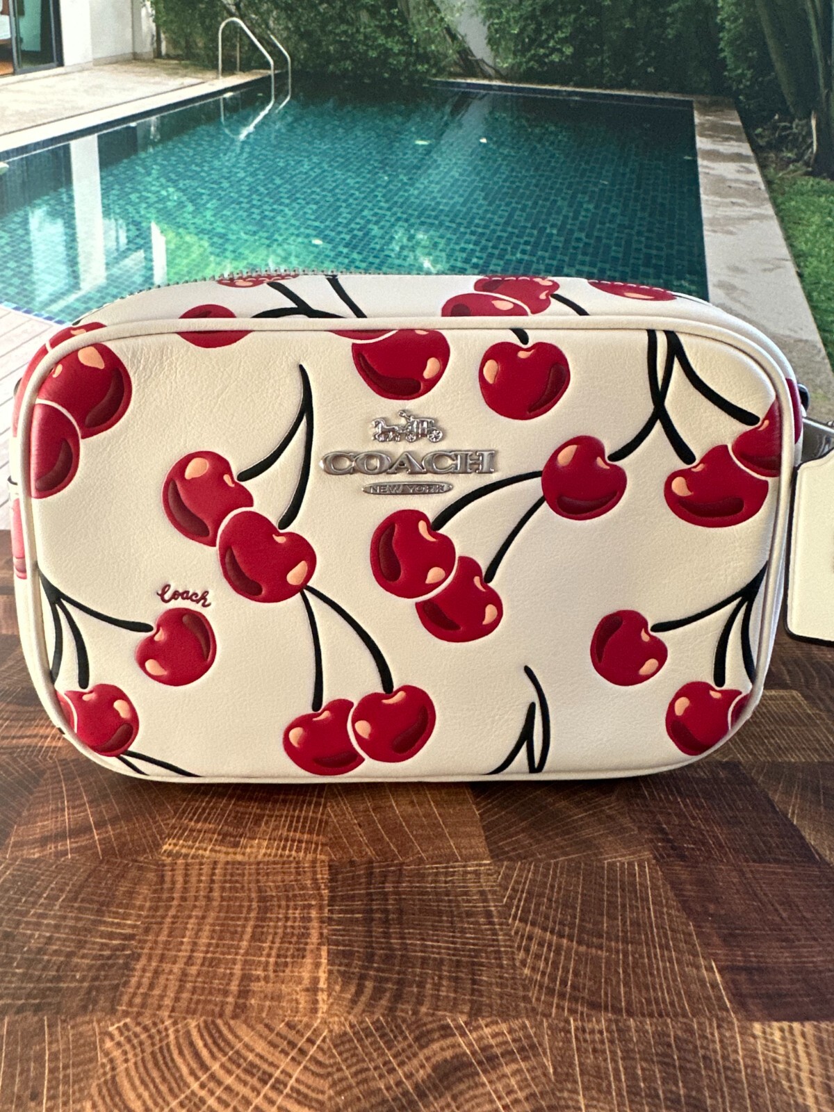NWT Coach CAB04 Mini Jamie Camera Bag In Smooth Leather Cherry Print Chalk Multi