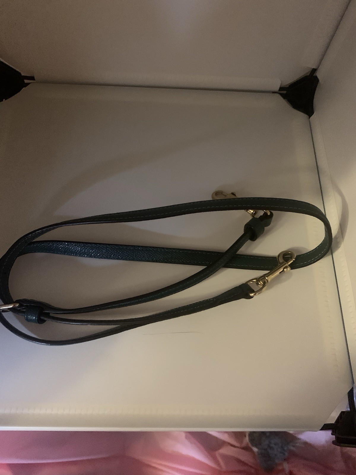 Coach Bag Brown/ Pine Green NWT Not Attach But Included (wallet Included )