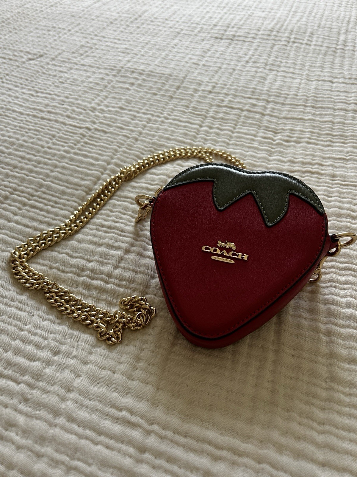 Coach Red & Green Leather Strawberry Gold Chain Crossbody Coin Bag Purse