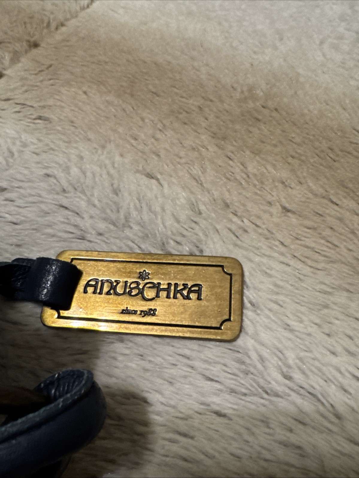 Anuschka Medium Leather Hand painted Bird