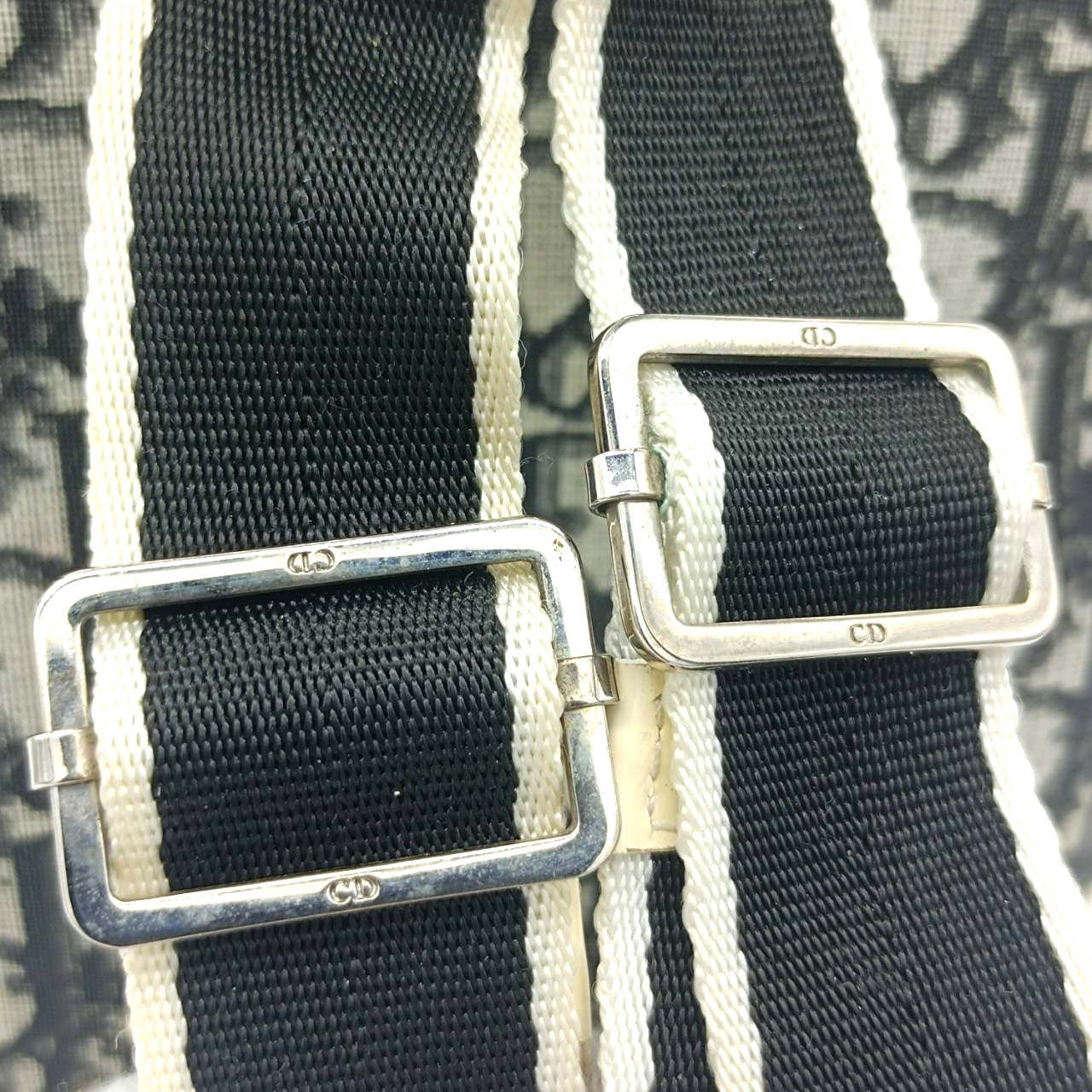 Christian Dior Bag Backpack Trotter monogram No.2 BOD0096