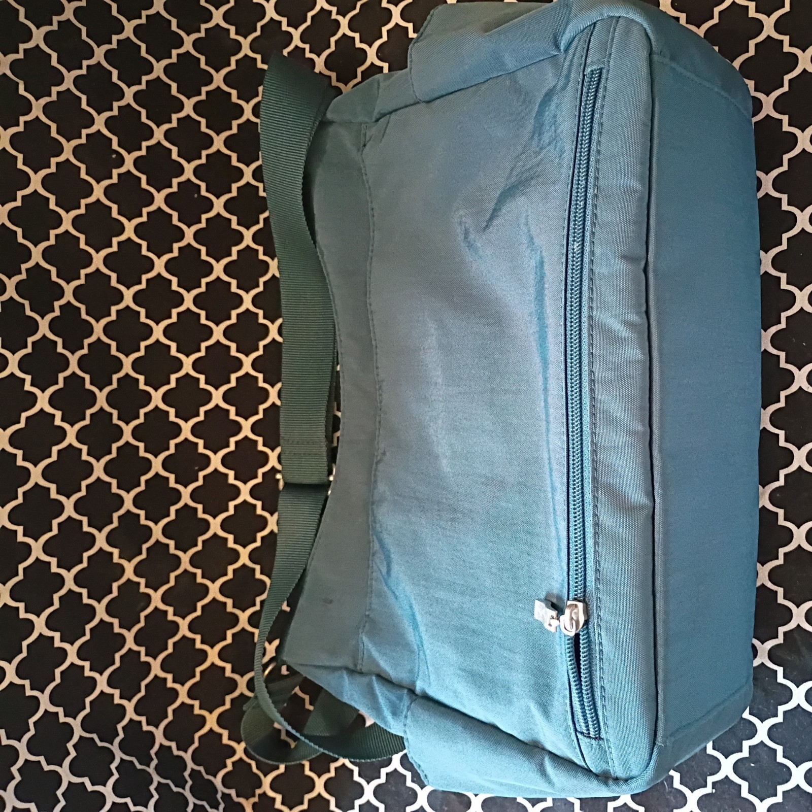 Baggallini Large Transport Hobo RFID Blocker Travel Crossbody MSRP $189