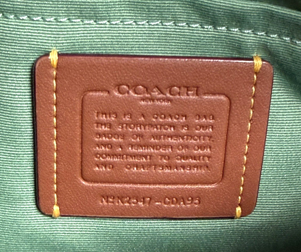 NWT Coach Ashton CDA95 Shoulder Crossbody Bag In MINT GREEN Suede Leather Silver