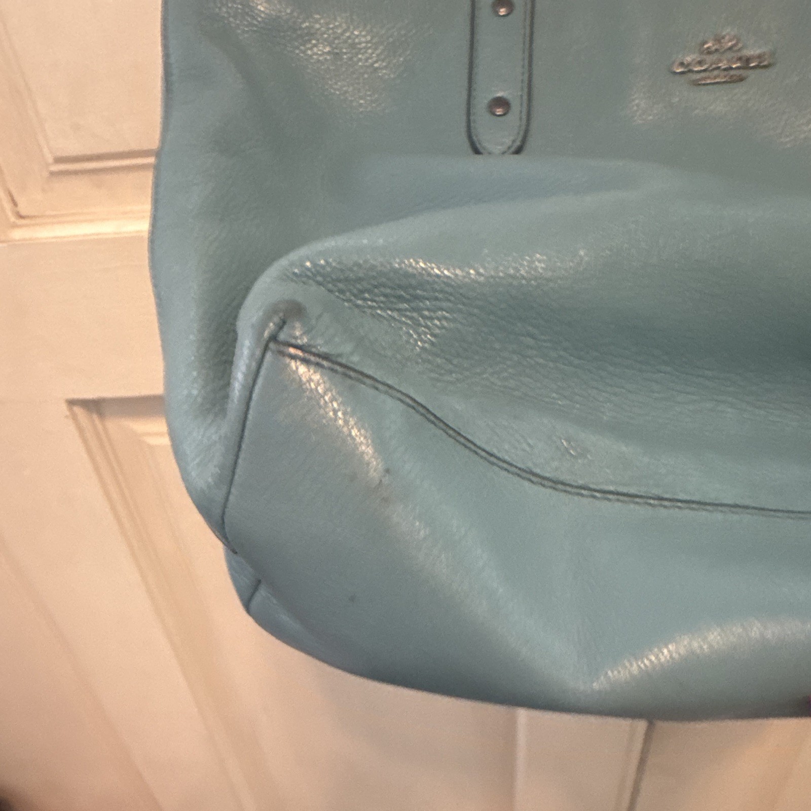 Coach Snoopy Woodstock Blue Tote Shoulder Bag Zip Top Lined Inner Pockets Silver