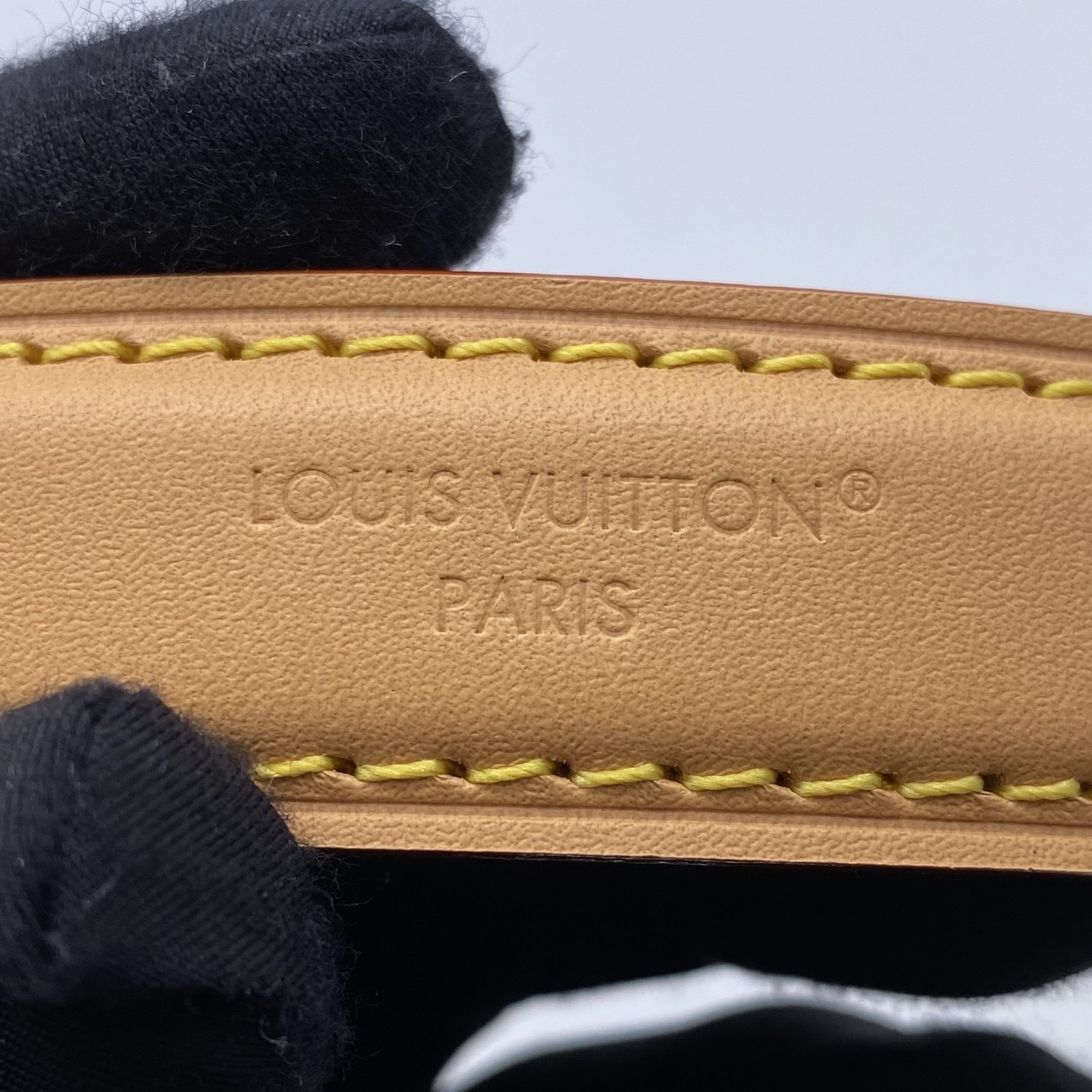 Louis Vuitton POCHETTE MIA Canvas shoulder Luxury Monogram bag for Women